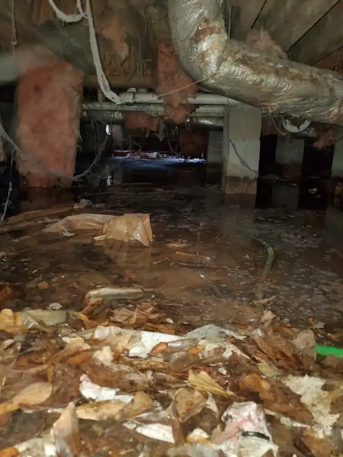 Crawl space flood assessment for Commercial Water Damage Restoration in Savannah