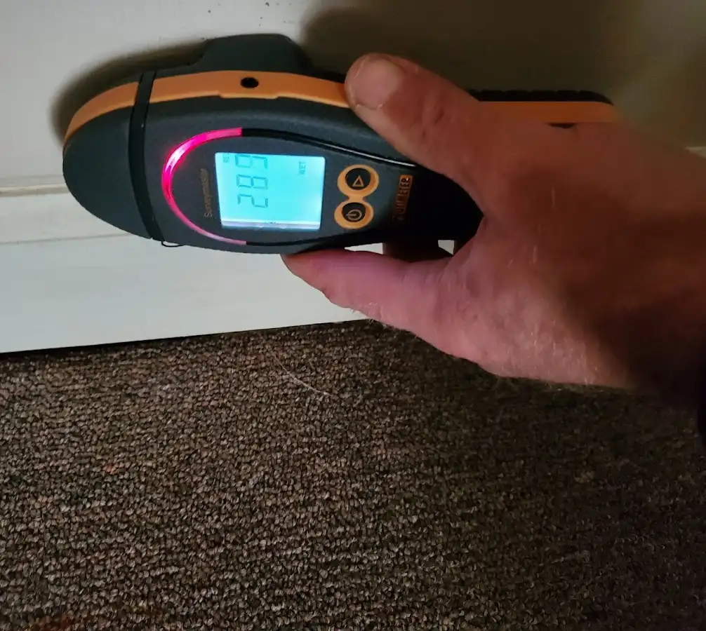 Moisture detection at baseboard during Mold Inspection & Testing in Savannah